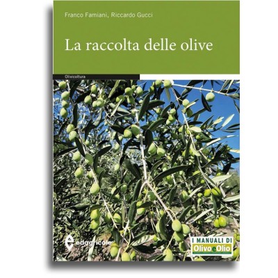Famiani. La raccolta delle...