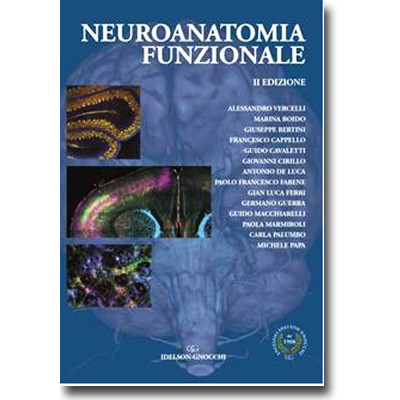 Vercelli. Neuroanatomia...