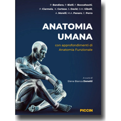 Bandiera. Anatomia Umana...