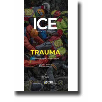 AA.VV. ICE. In Case of...