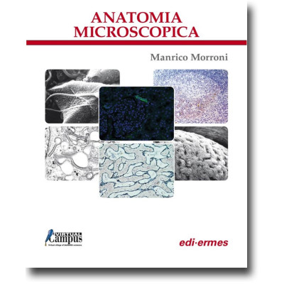 Morroni. Anatomia...