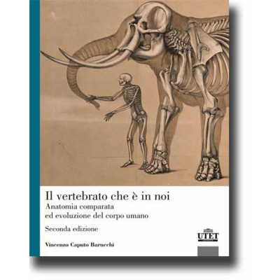 Caputo Barucchi. Il...