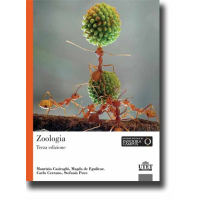 Casiraghi. Zoologia 3e