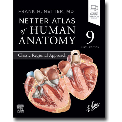 Netter. Atlas of Human...
