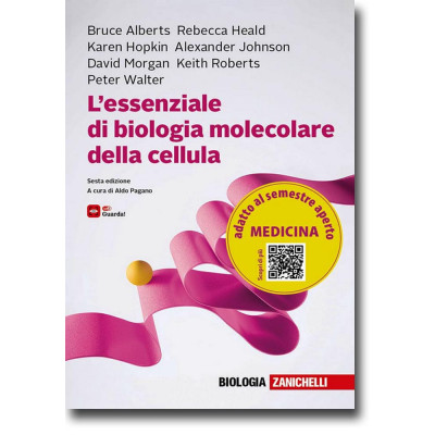 Alberts. L'essenziale di...