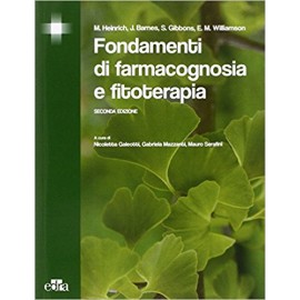 Heinrich. Fondamenti di...