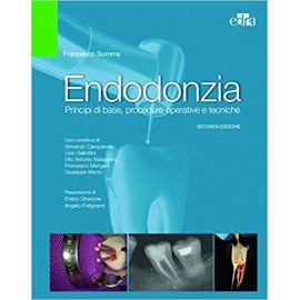 Somma. Endodonzia. Principi...
