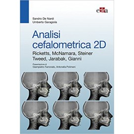 De Nardi. Analisi...