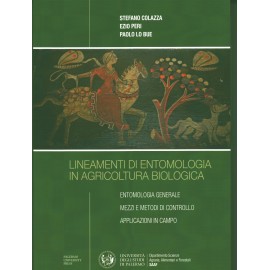 Colazza. Lineamenti di...