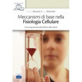 Mazzanti. Meccanismi di...