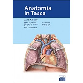 Gilroy. Anatomia in Tasca