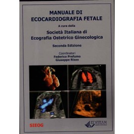 SIEOG. Manuale di...