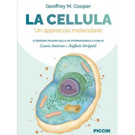 Cooper. La Cellula, un...