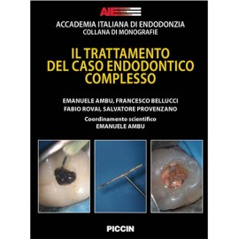 AIE. Il trattamento del...